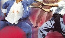 功夫天才在线观看,在线解锁武术传奇之旅